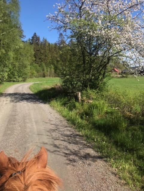 Stenlid - Med Naturen Och Lugnet I Fokus Veddige المظهر الخارجي الصورة